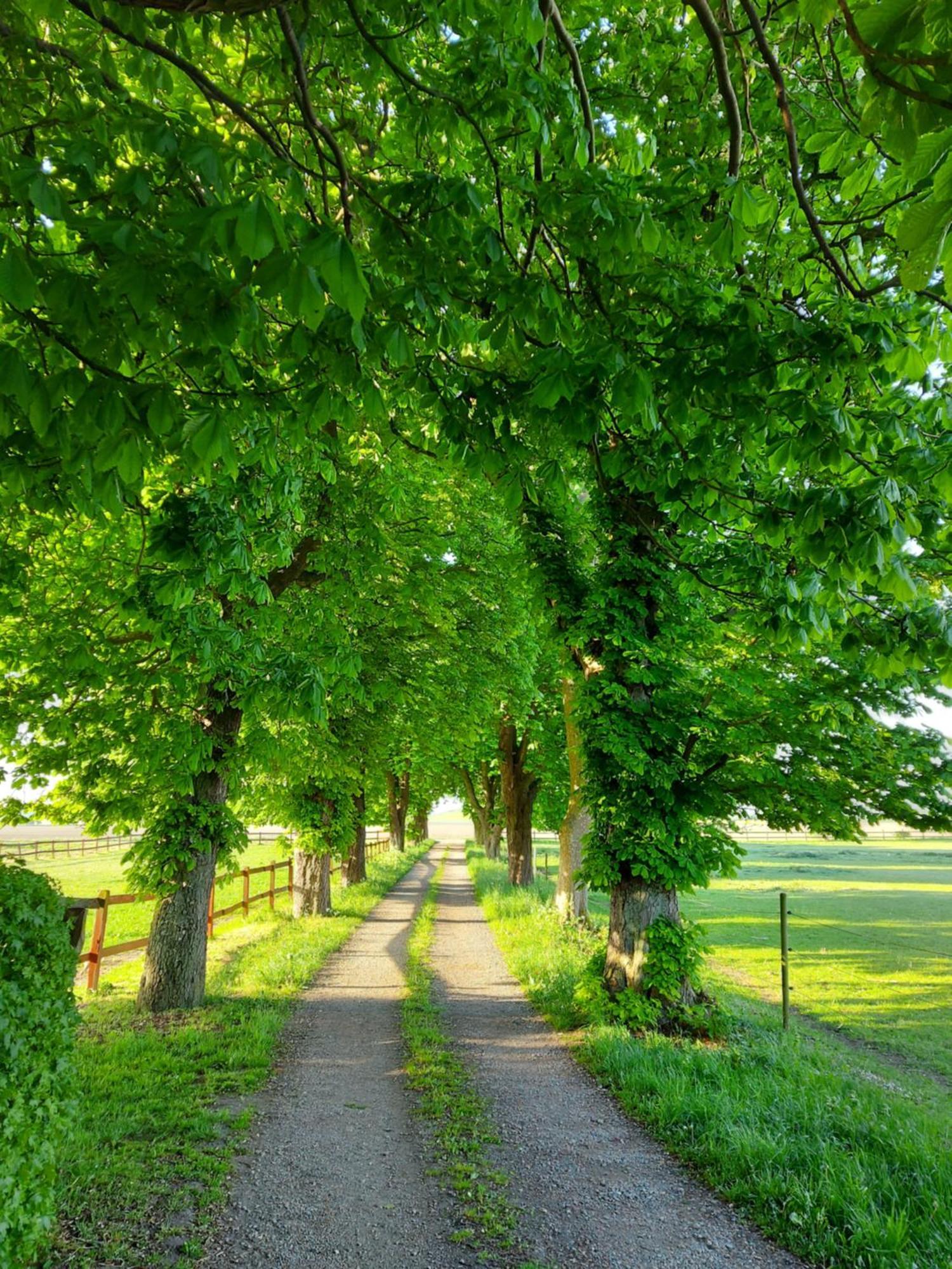 Lantligt Och Lugnt Boende Naera Natur Och Stad Svedala Εξωτερικό φωτογραφία