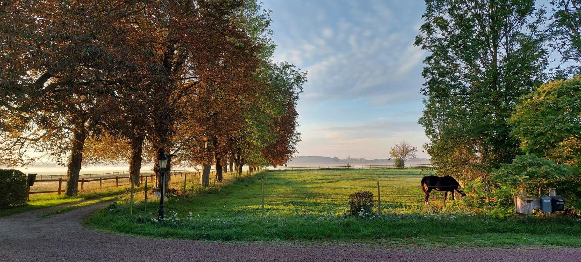 Lantligt Och Lugnt Boende Naera Natur Och Stad Svedala Εξωτερικό φωτογραφία
